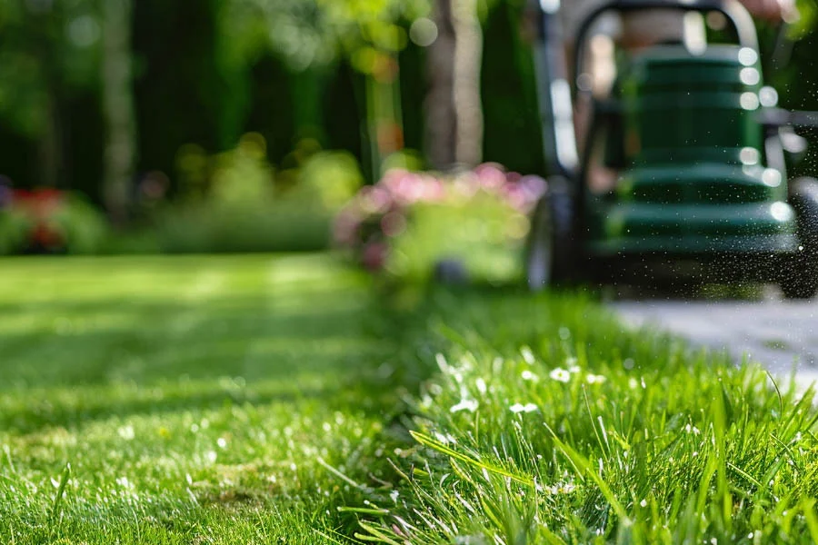 best self propelled electric mower